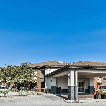 Comfort Inn Chatham-Kent Buitenkant foto