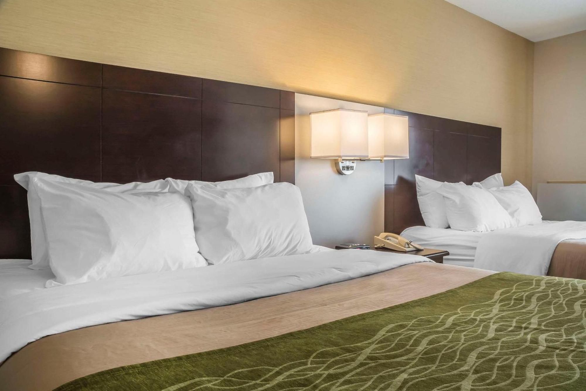Comfort Inn Chatham-Kent Buitenkant foto