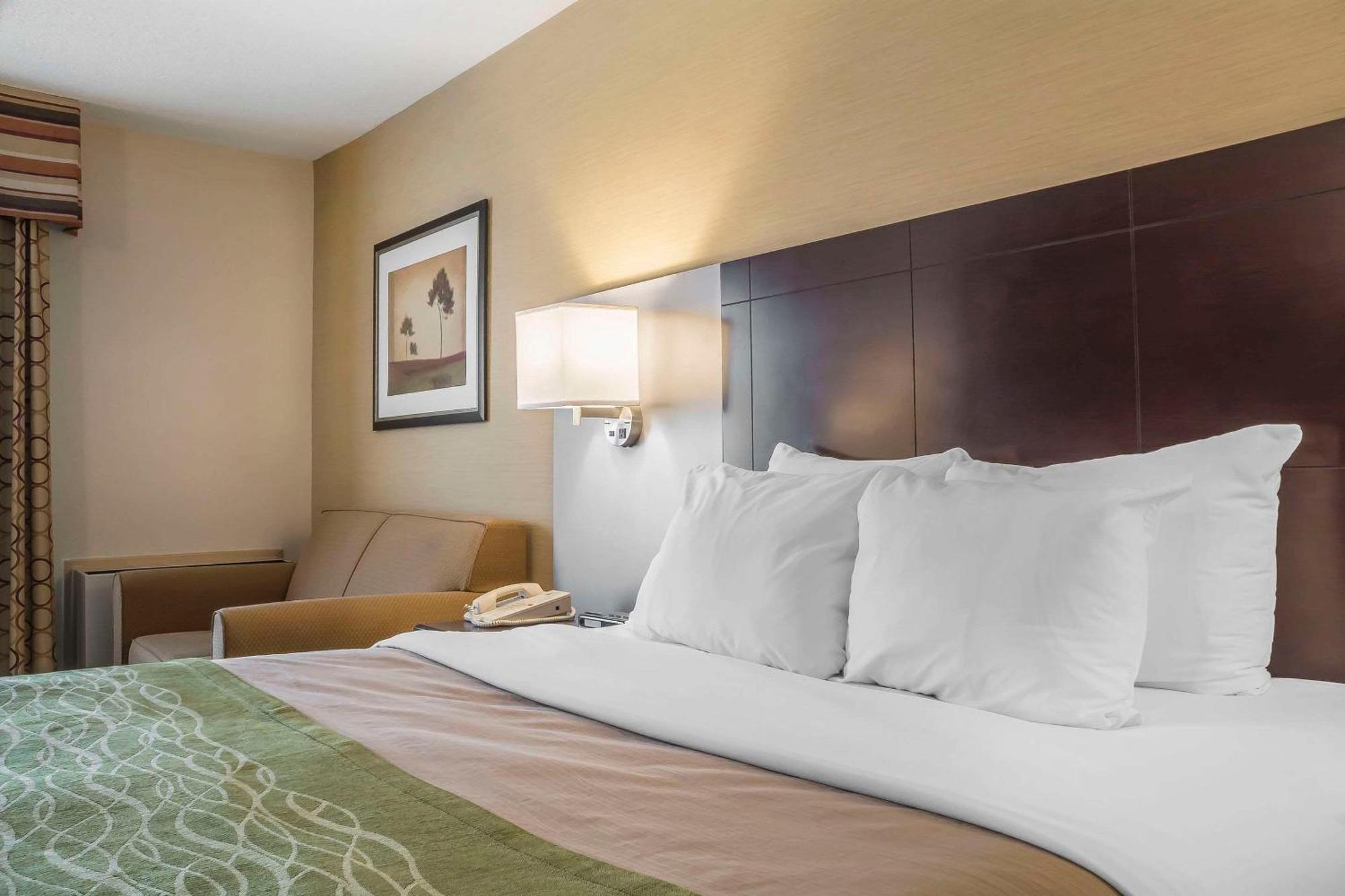 Comfort Inn Chatham-Kent Buitenkant foto