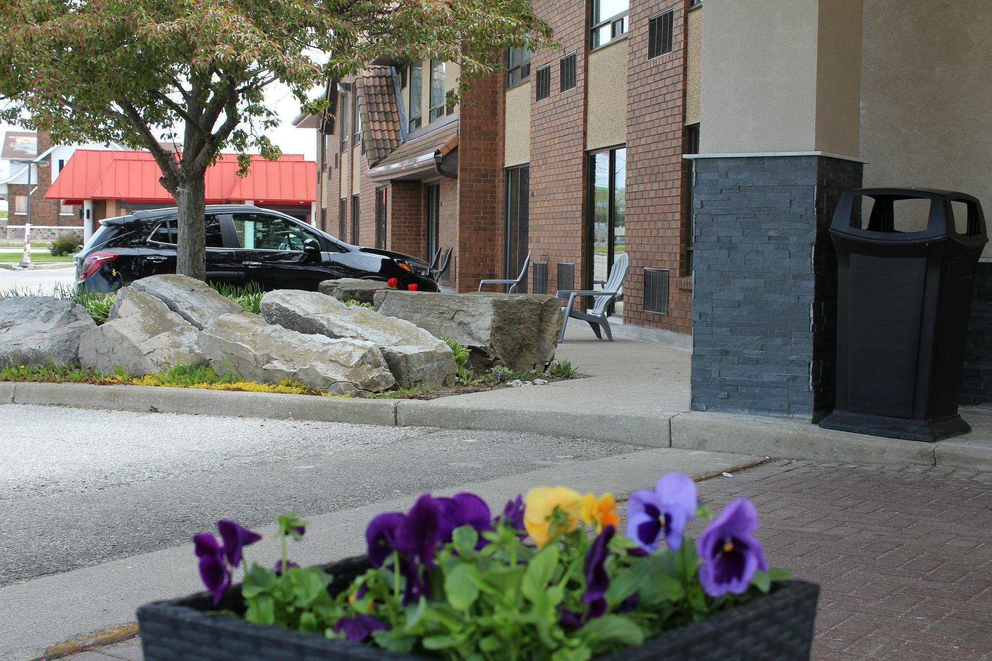 Comfort Inn Chatham-Kent Buitenkant foto