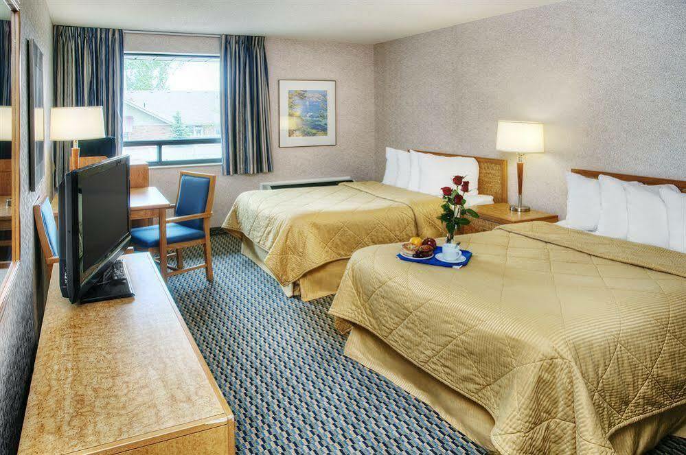 Comfort Inn Chatham-Kent Buitenkant foto